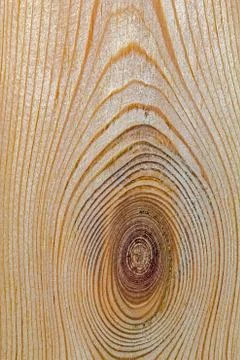 Wood texture with natural pattern Stock Photos