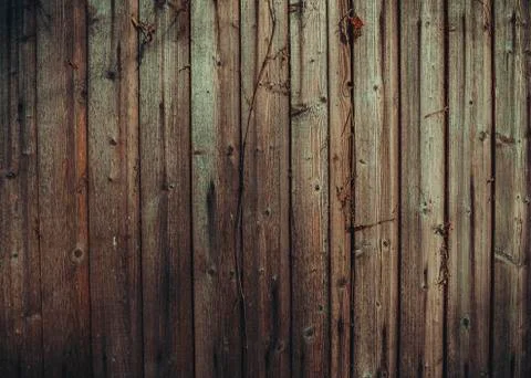 Wood texture with natural pattern. Stock Photos