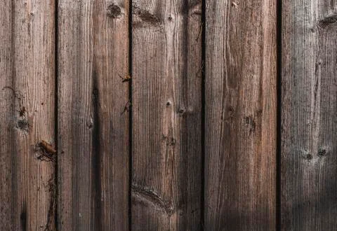 Wood texture with natural pattern. Stock Photos