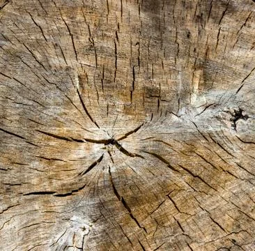 Wood Texture With Natural Pattern Stock Photos