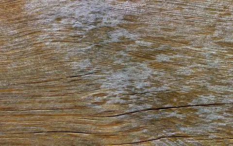 Wood Texture With Natural Pattern Stock Photos