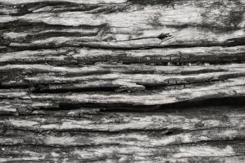 Wood Texture With Natural Pattern Stock-Fotos