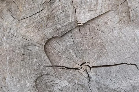 Wood Texture With Natural Pattern Foto stock