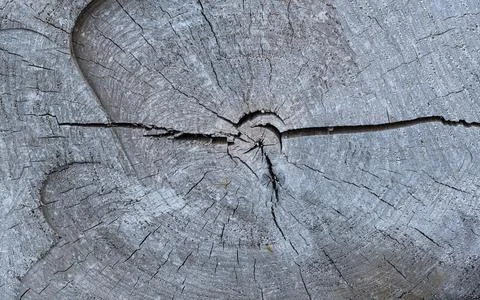 Wood Texture With Natural Pattern Stock Photos