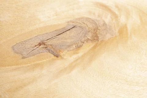 Wood texture with natural pattern. Foto stock