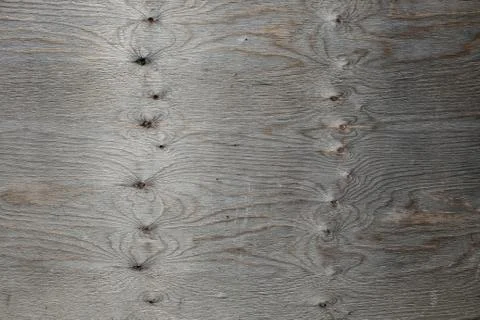 Wood texture with natural pattern. timber material Stock Photos