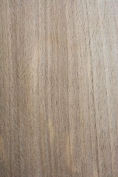 Wood texture with natural patterns Stock Illustration
