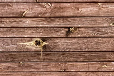 The wood texture with natural patterns Foto stock