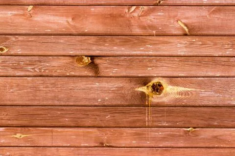 The wood texture with natural patterns Stock Photos