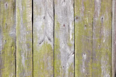 The wood texture with natural patterns Stock Photos