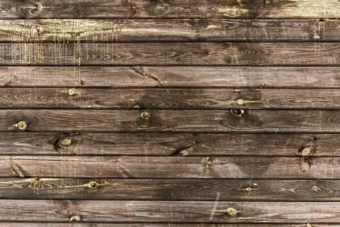 The wood texture with natural patterns Foto stock