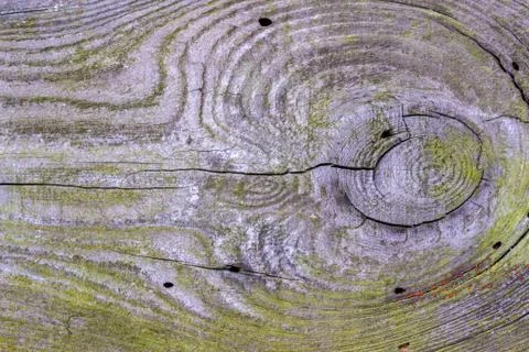 The wood texture with natural patterns Stock Photos