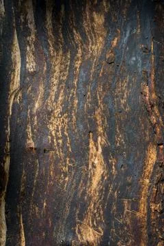 Wood texture with natural patterns Foto stock