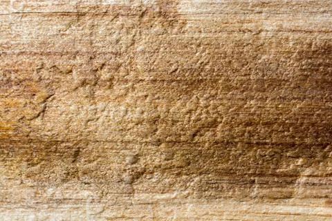 Wood texture with natural patterns Stock Photos