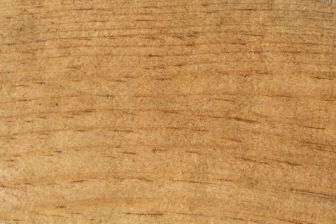 Wood texture with natural patterns Foto stock