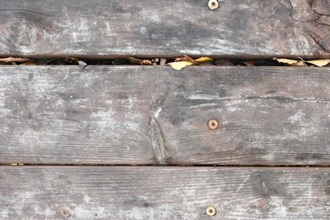 Wood texture with natural wood pattern for design and decoration Stock Photos