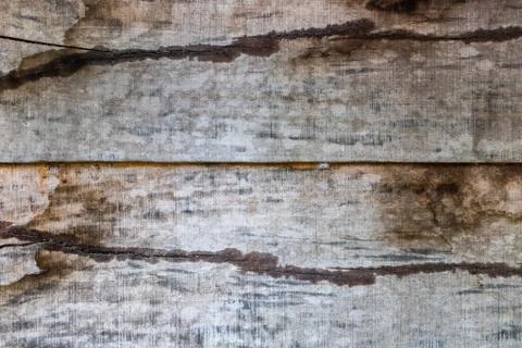 Wood texture, nice background Stock Photos