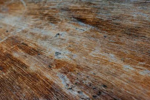 Wood texture, nice background Stock Photos
