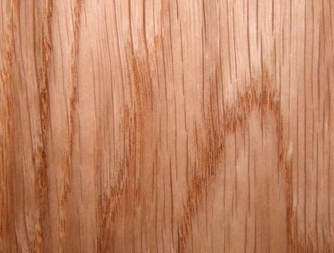 Wood texture. Oak tree sheet surface Stock Photos