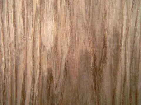 Wood texture. Oak tree sheet surface Stock Photos