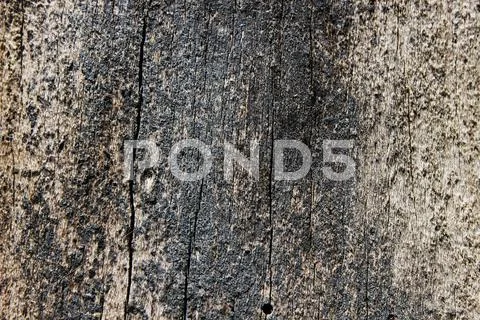 Wood Texture Stock Photos