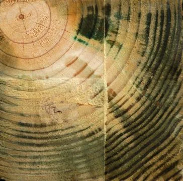 Wood Texture Photos
