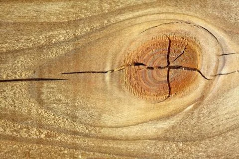 Wood texture Stock-Fotos
