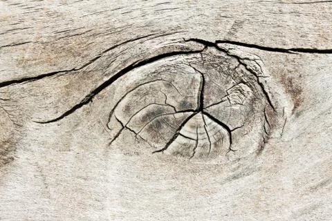 Wood texture Stock-Fotos
