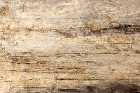 Wood texture Foto stock