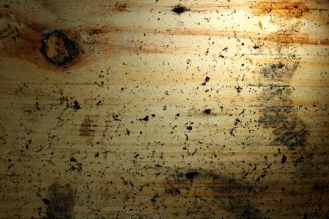 Wood texture Stock Photos