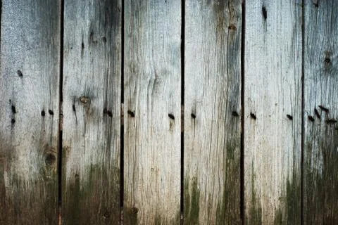 Wood  texture Stock Photos
