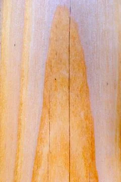 Wood texture Stock Photos