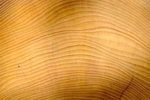 Wood texture Stock Photos