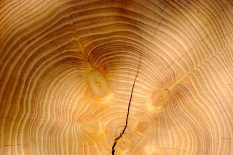 Wood texture Stock Photos