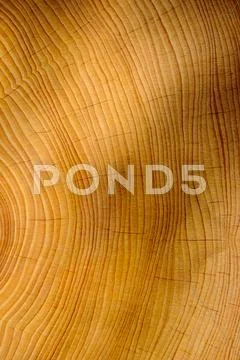 Wood texture Stock Photos
