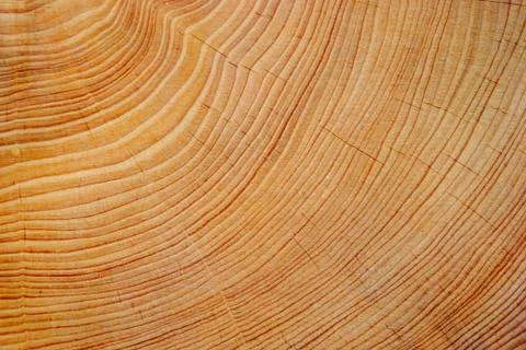 Wood texture Stock Photos