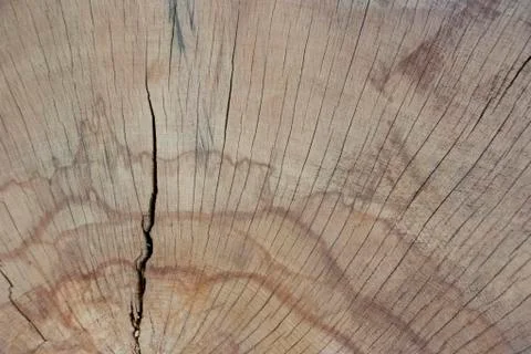 Wood texture Foto stock