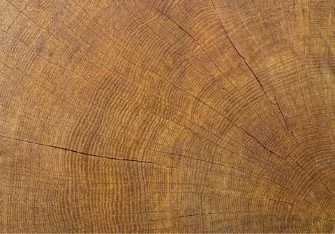 Wood texture Stock Photos