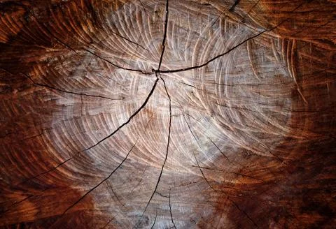 Wood - texture Stock Photos