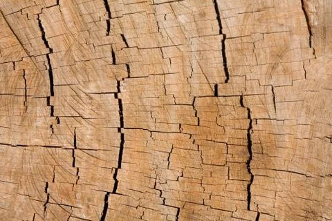 Wood texture Stock Photos