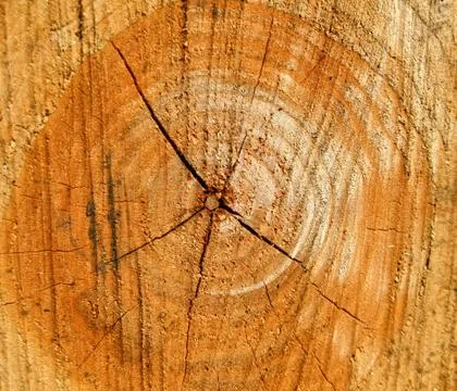 Wood texture Stock Photos