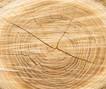 Wood texture Stock Photos
