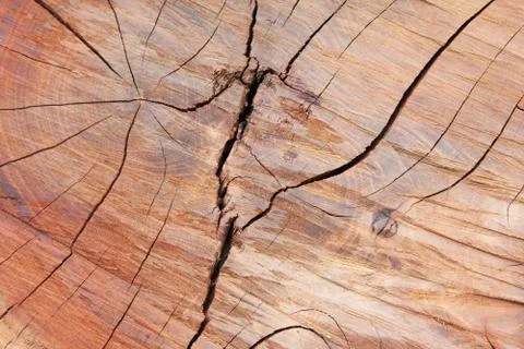 Wood texture Stock Photos