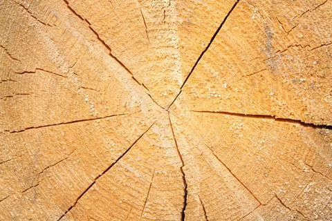Wood texture Stock Photos