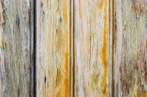 Wood texture 写真素材