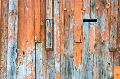 Wood texture Фото