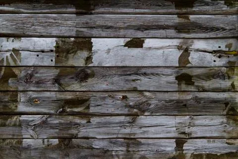 Wood texture Stock Photos