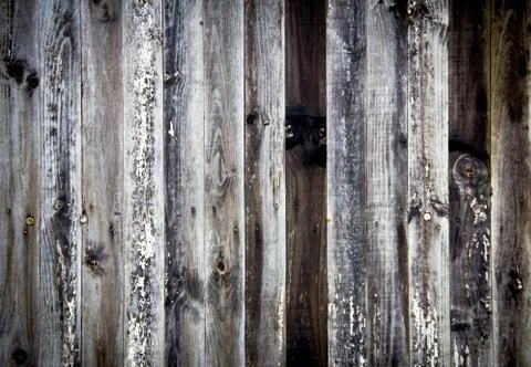 Wood texture Foto stock