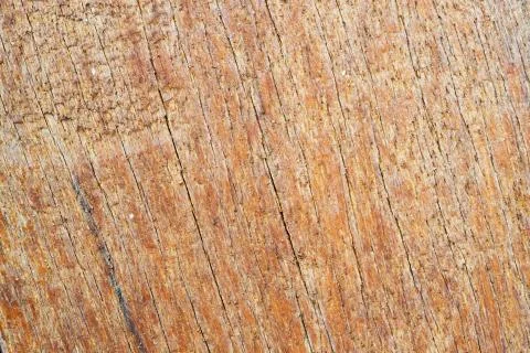 Wood texture Stock Photos
