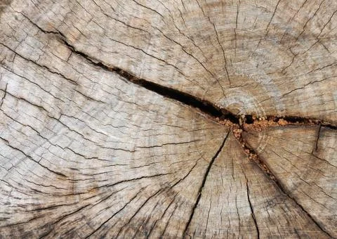 Wood texture Stock Photos